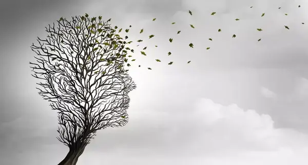عکس برای تصویرسازی