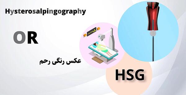 تصویر عکس رنگی رحم