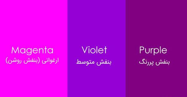 عکس تصویر بنفش ساده