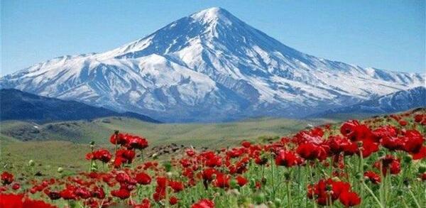 عکس تصویر برای نوشتن انشا