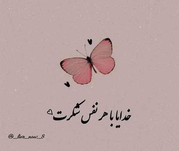 دانلود عکس تصویر زمینه خدایا شکرت