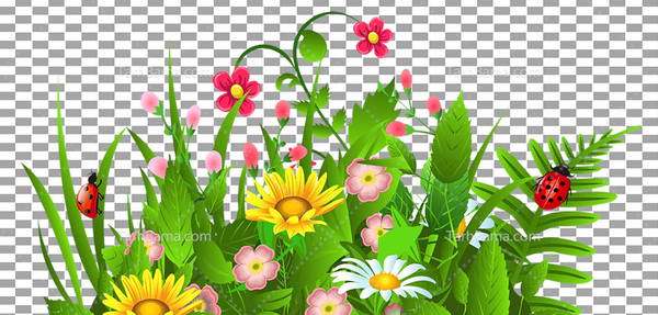 عکس گل تصویر پس زمینه
