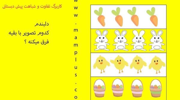 تفاوت عکس و تصویر چیست