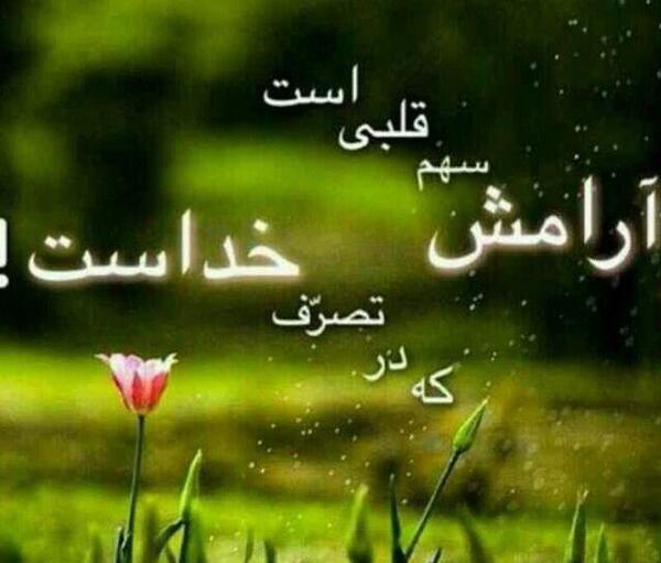 تصاویر جالب عکس