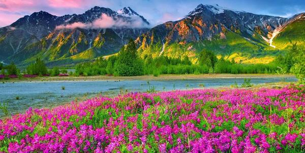 عکس تصویر پس زمینه طبیعت