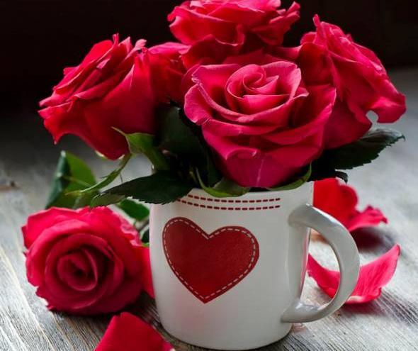 عکس تصویر زیبا برای پروفایل