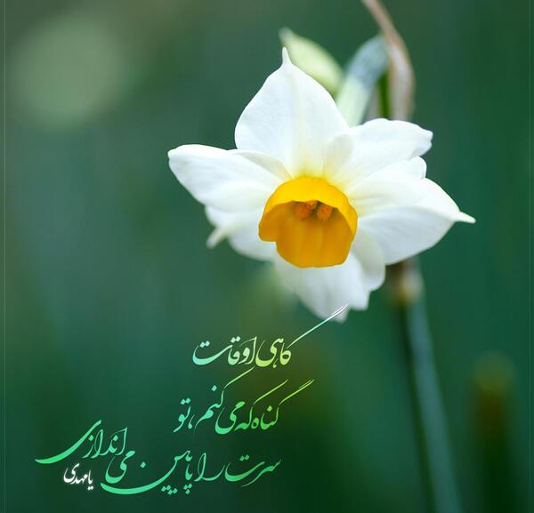 عکس تصویر زمینه درباره امام زمان