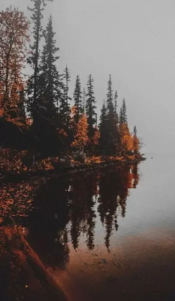 عکس تصویر زمینه ی اپل