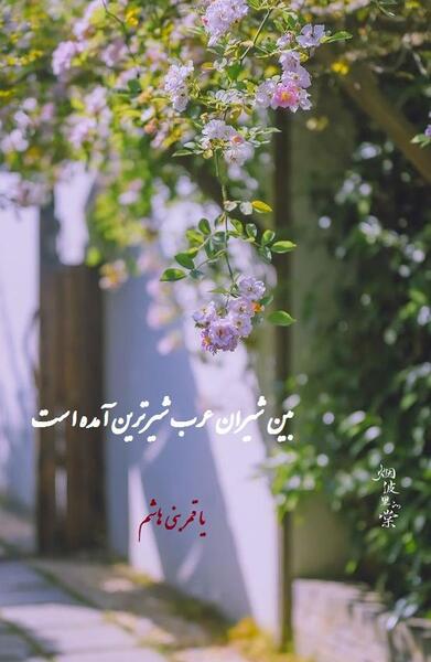 عکس پروفایل تولد حضرت ابوالفضل