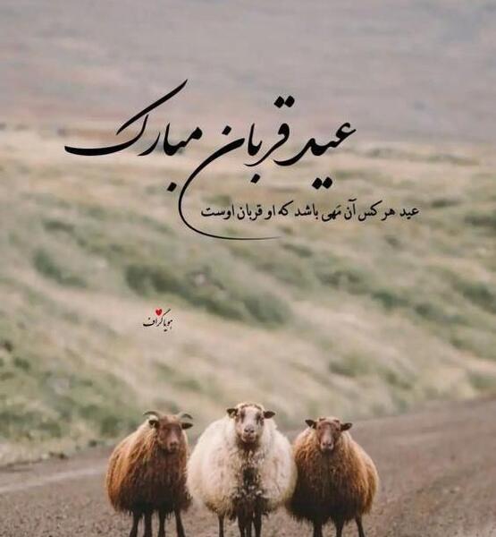 عکس پروفایل عید قربان ۱۴۰۳