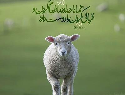 عکس پروفایل عید قربان پیشاپیش مبارک