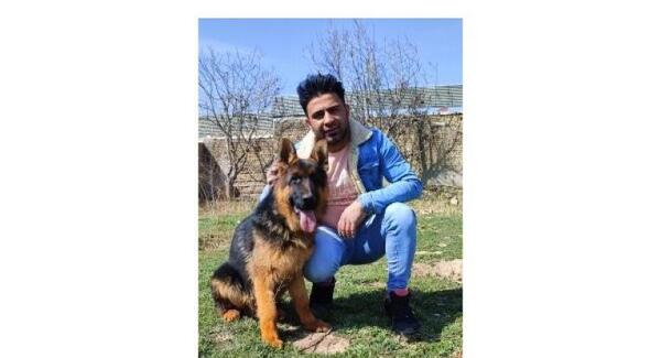 عکس سگ ژرمن شپرد مو بلند