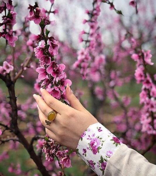 عکس پروفایل گلهای بهاری