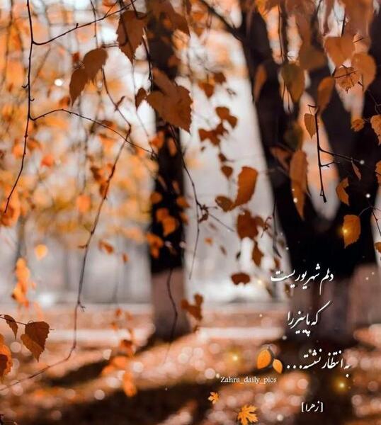 عکس پروفایل منظره غمگین
