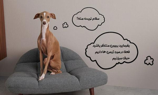 عکس خوشگل ترین سگ ژرمن