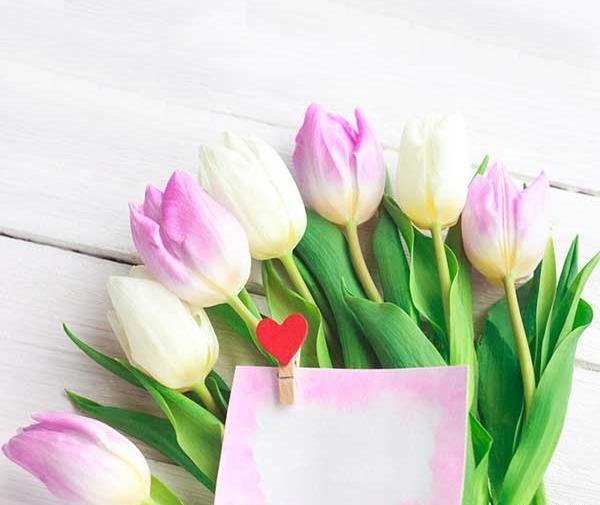 عکس پروفایل یاسی