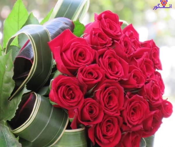 عکس پروفایل گل های بهشتی