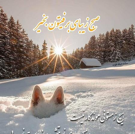 عکس پروفایل صبح بخیر زمستانی