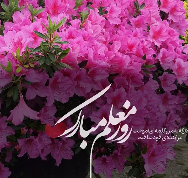 عکس پروفایل روز معلم برای خواهر