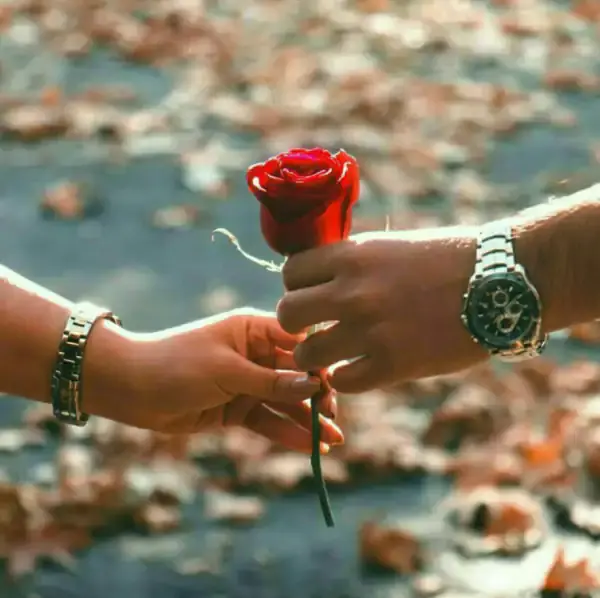 عکس پروفایل جفتی دست
