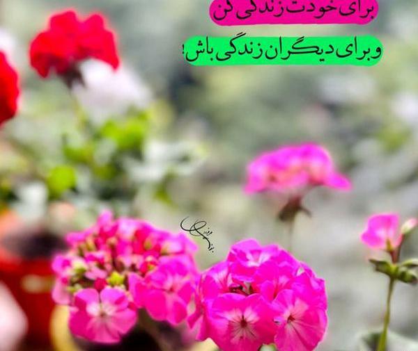 عکس پروفایل همراه با متن آموزنده