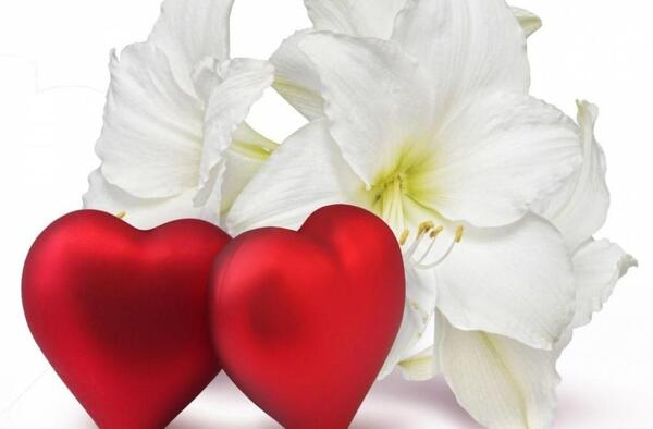 عکس پروفایل افغانی عاشقانه