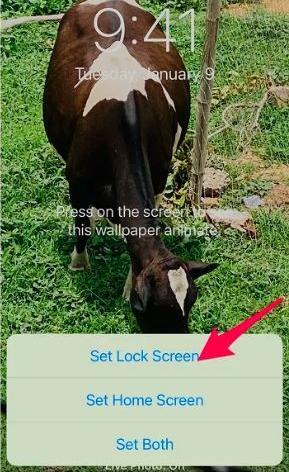 عکس چگونه در گوشی ایفون تصویر زمینه را عوض کنیم