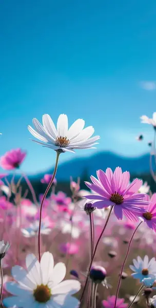 عکس پس زمینه گوشی سه بعدی دخترانه