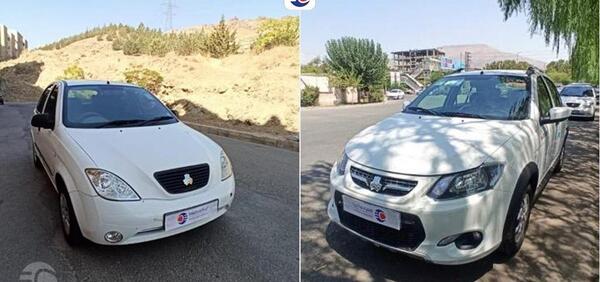 عکس تیبا و کوییک