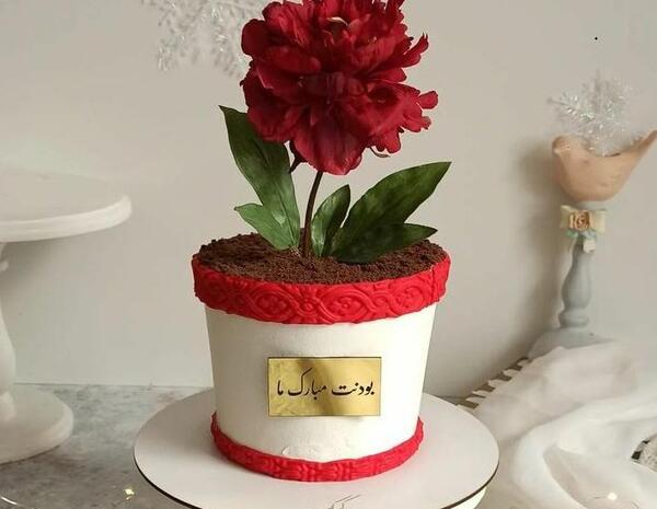 عکس کیک مادر و دختری
