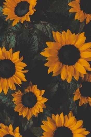 عکس زمینه ساده و شیک