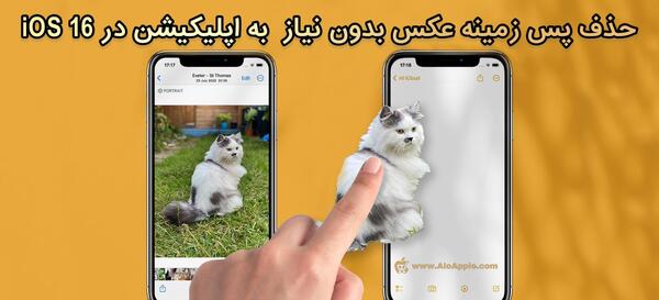 عکس زمینه آیفون 16