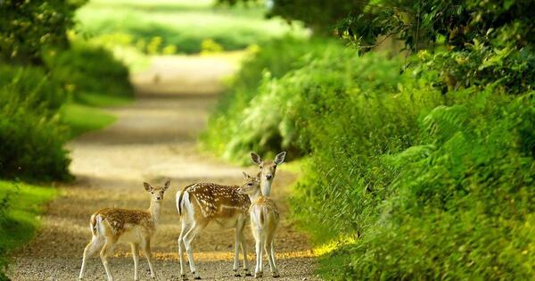 عکس تصویر زمینه اچ دی