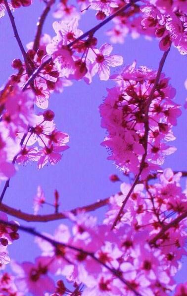 عکس تصویر زمینه اچ دی