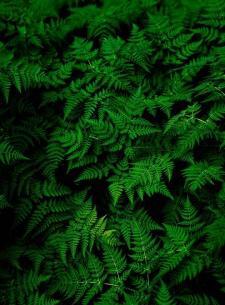 عکس پس زمینه اچ دی برای دسکتاپ