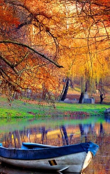 عکس تصویر زمینه اچ دی اندروید