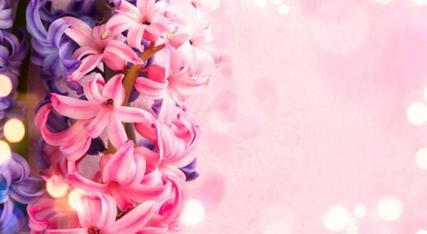 عکس پس زمینه برای نوشتن متن زیبا