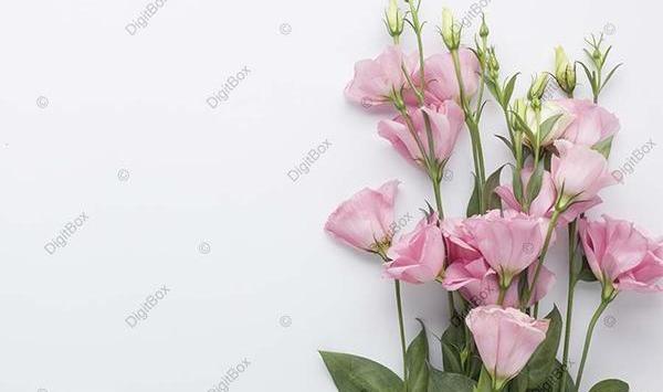 عکس پیش زمینه برای نوشتن متن