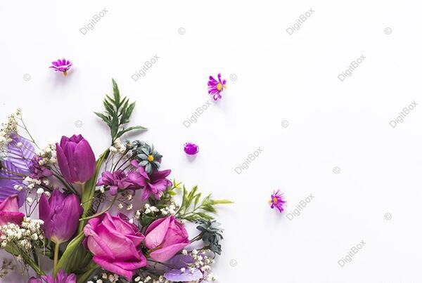 عکس زمینه برای متن نوشتن