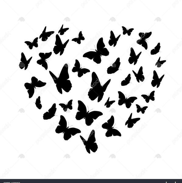 عکس زمینه پروانه ای