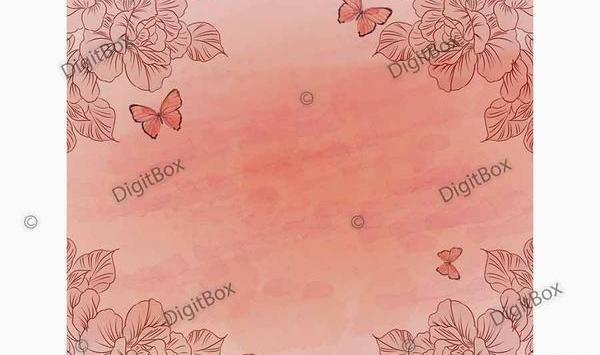 زمینه عکس پروانه صورتی