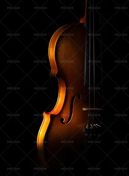 عکس برای پس زمینه تیره