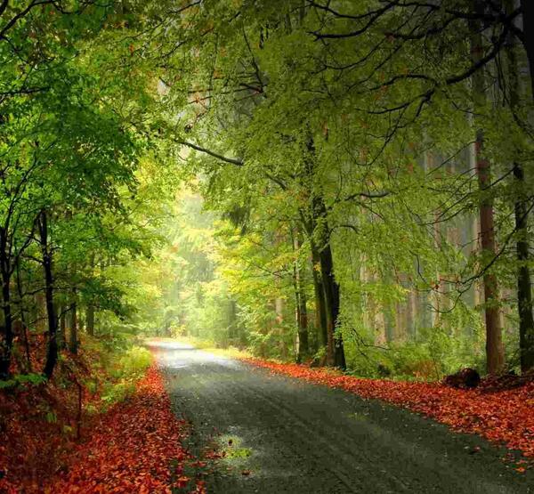 عکس پشت زمینه تبلت