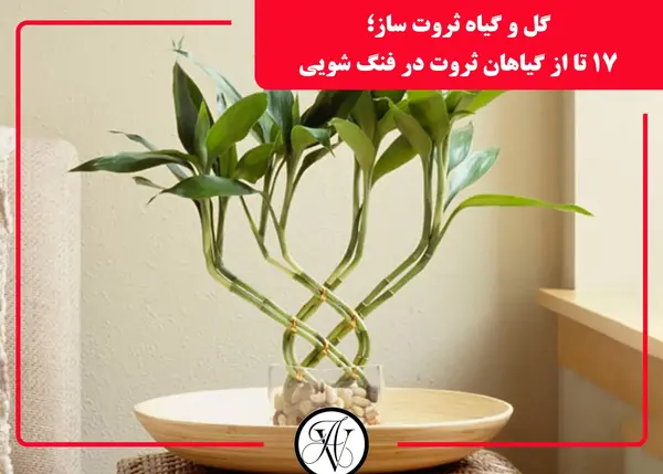 عکس پس زمینه ثروت ساز