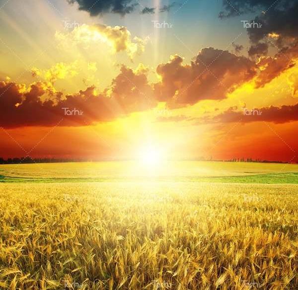 عکس پس زمینه ثروت ساز