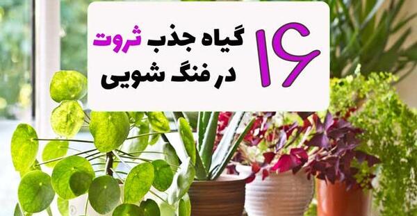 عکس پس زمینه ثروت ساز