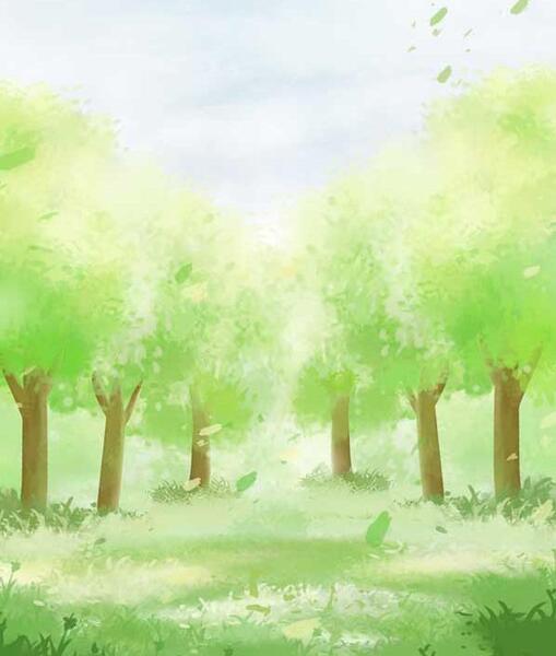 عکس پس زمینه جنگلی