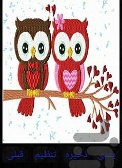 عکس پس زمینه جغد