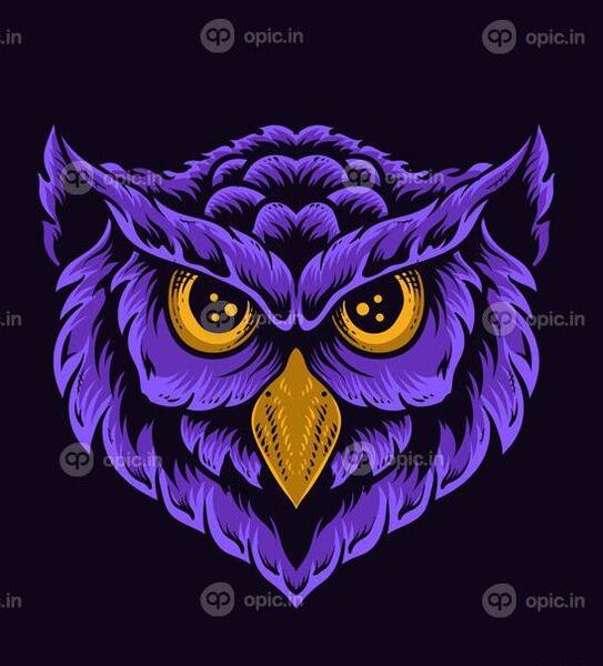 عکس پس زمینه جغد