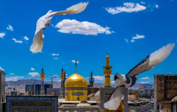 عکس پیش زمینه حرم امام رضا
